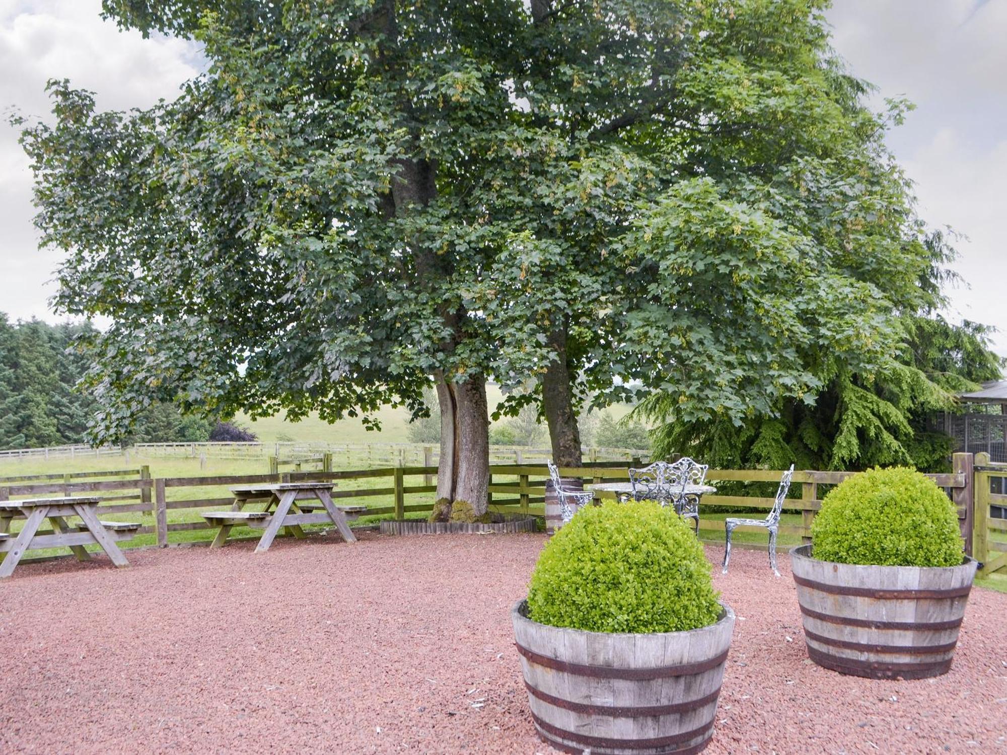 Broomstick Cottage Elsdon Экстерьер фото
